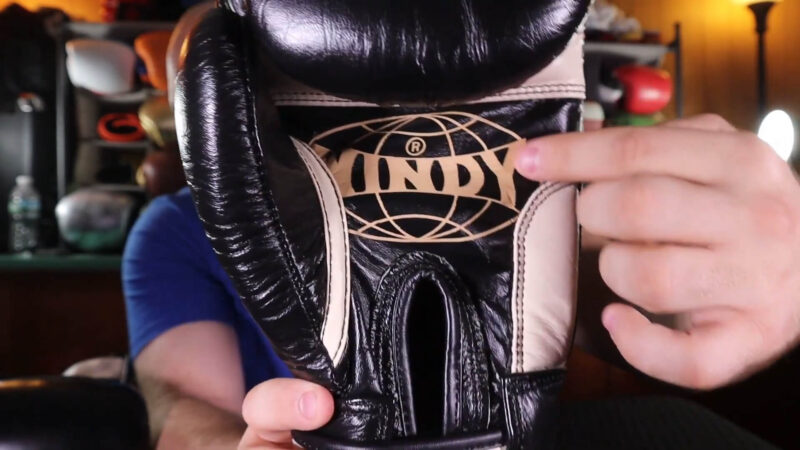 Muay Thai Training Gloves